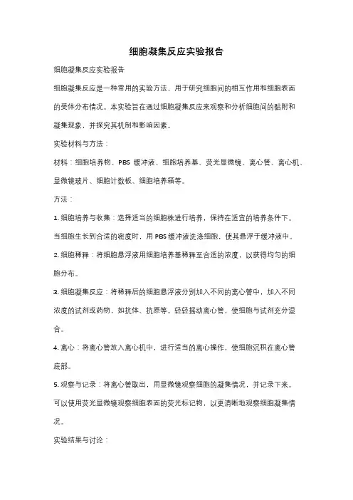 细胞凝集反应实验报告