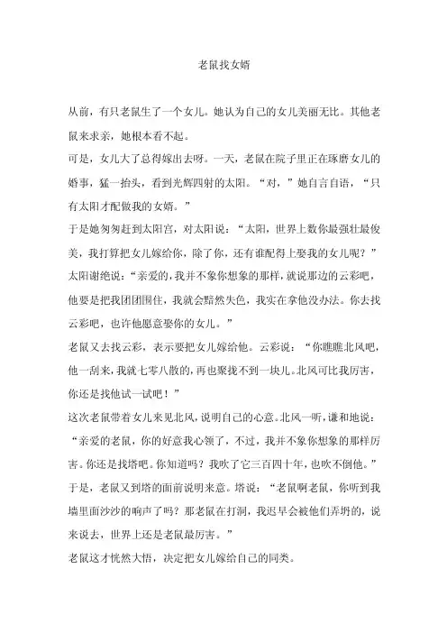 老鼠找女婿——精选推荐