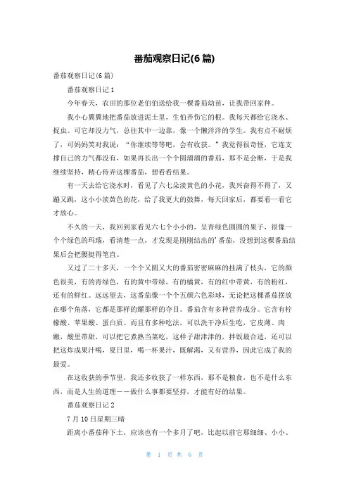 番茄观察日记(6篇)