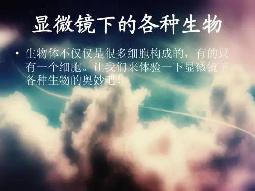 显微镜下的各种生物