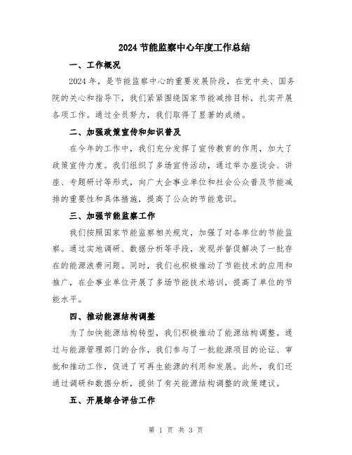2024节能监察中心年度工作总结