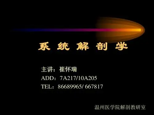 【系统解剖学】20脑与脊髓的被膜、血管及脑脊液循环
