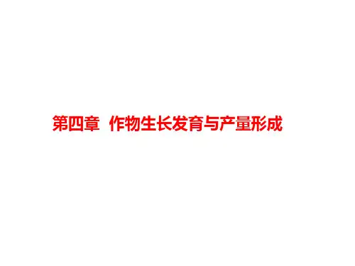 第四章作物生长发育与产量形成