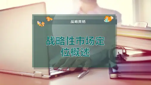 战略性市场定位概述