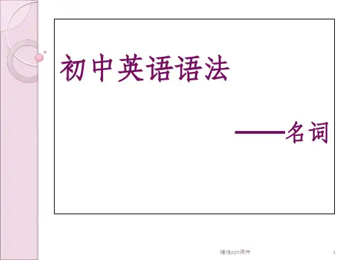 初中英语语法—名词ppt课件