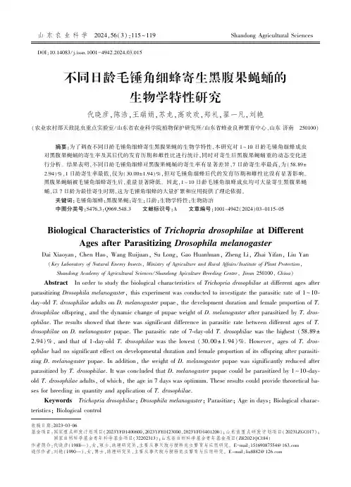 不同日龄毛锤角细蜂寄生黑腹果蝇蛹的生物学特性研究