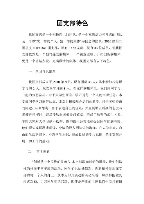 团支部特色