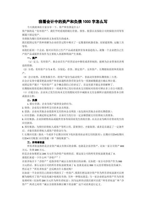 我看会计中的资产和负债1000字怎么写