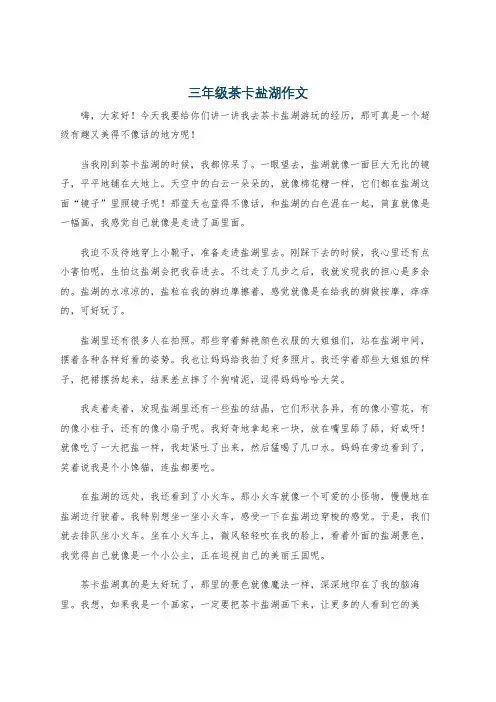 三年级茶卡盐湖作文
