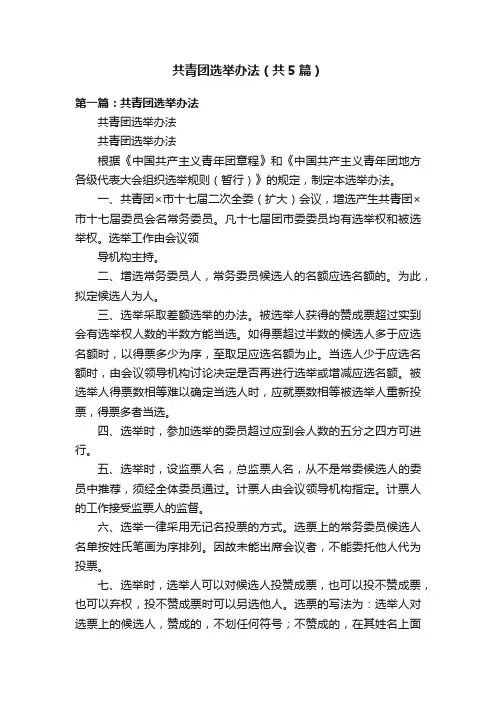 共青团选举办法（共5篇）