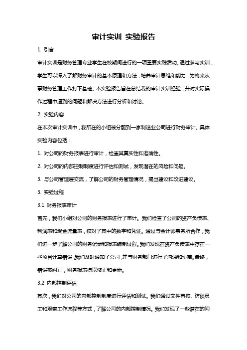 审计实训 实验报告