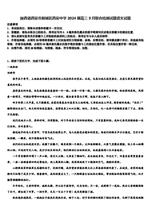 陕西省西安市新城区西安中学2024届高三3月联合检测试题语文试题含解析