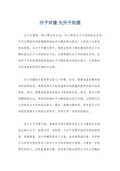 分子对接 大分子处理