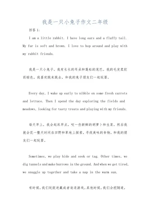 我是一只小兔子作文二年级