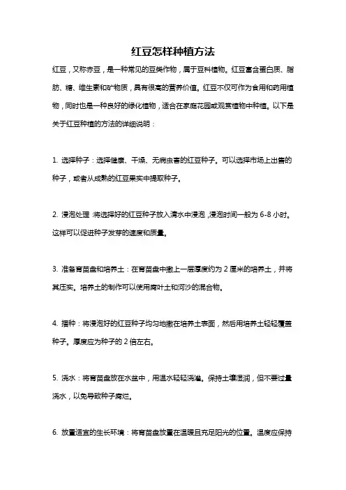 红豆怎样种植方法