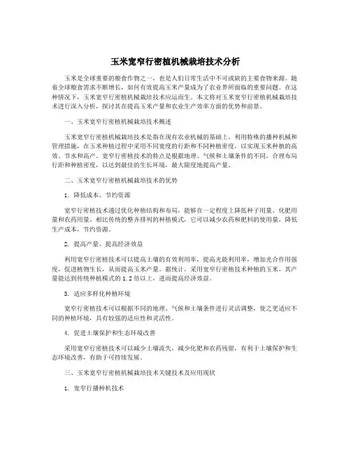 玉米宽窄行密植机械栽培技术分析