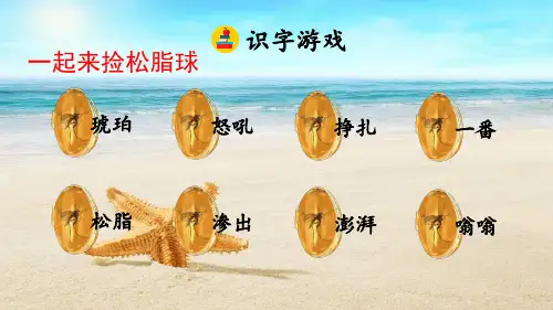 (新课标解读)2020版语文专题 三年级上册语文课件 5  琥珀新课标改编版_11-15