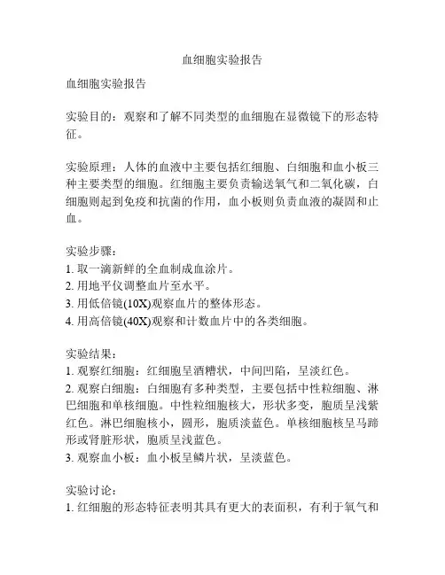 血细胞实验报告