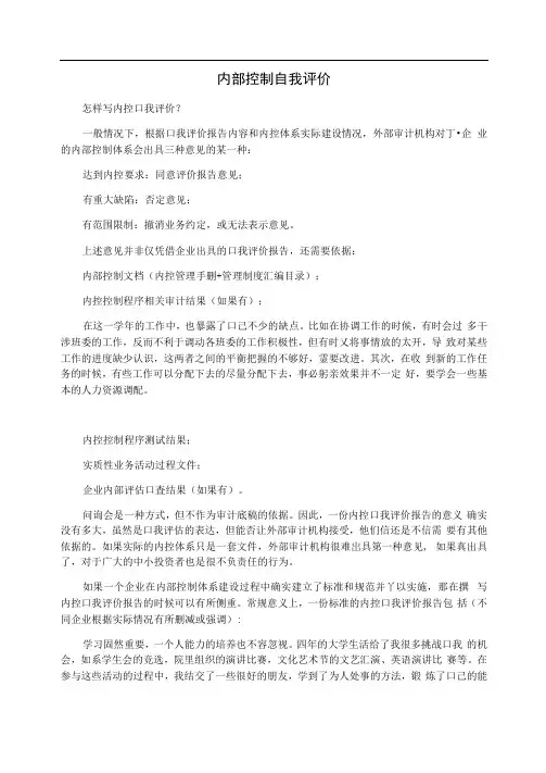 内部控制自我评价