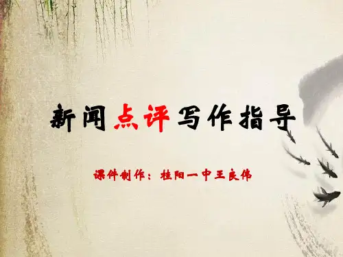 高考复习新闻点评写作指导ppt