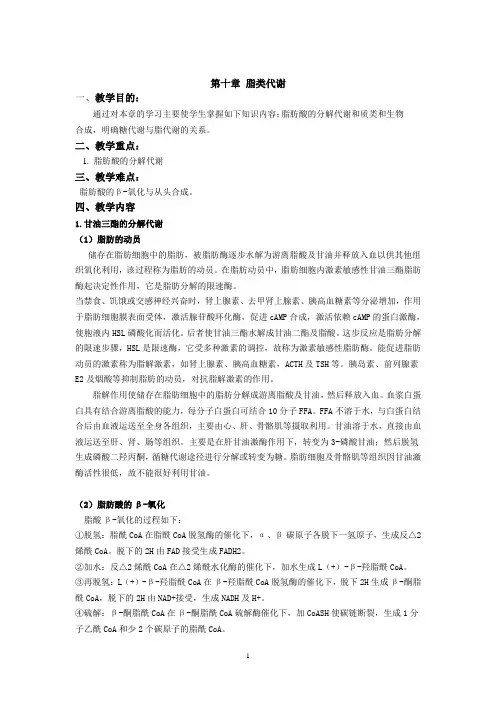 生物化学教案