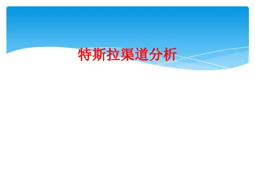 特斯拉渠道分析