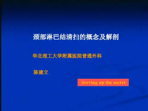 颈部淋巴结清扫的概念及解剖