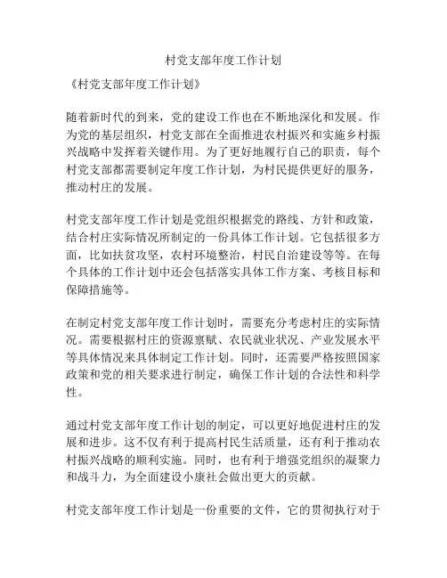 村党支部年度工作计划