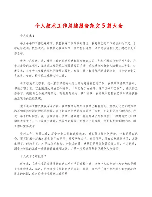 个人技术工作总结报告范文5篇大全