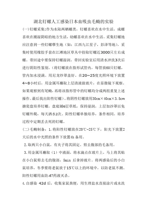 钉螺毛蚴感染湖北钉螺实验