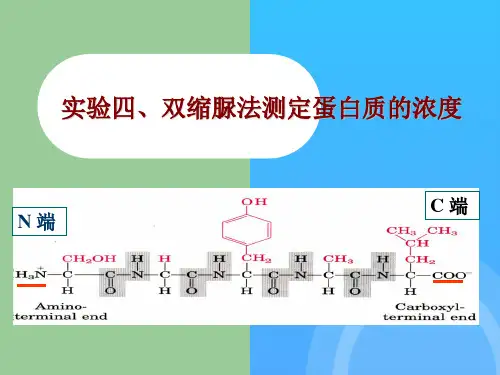 经典蛋白含量测定方法比较及双缩脲法实验步骤简介优秀PPT