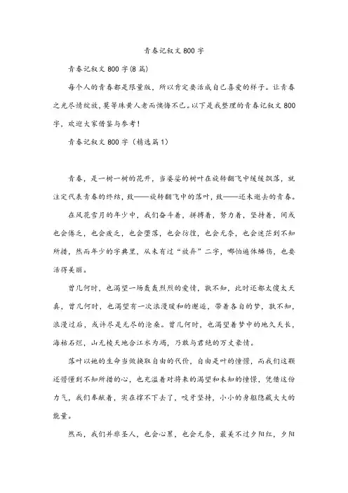 青春记叙文800字