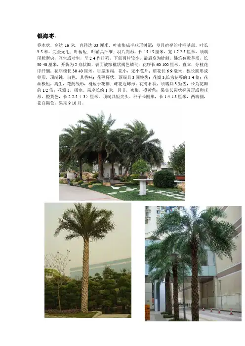 植物识别表