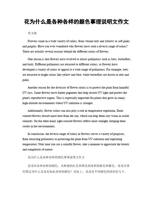 花为什么是各种各样的颜色事理说明文作文