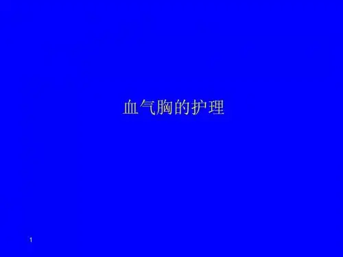 血气胸护理PPT课件