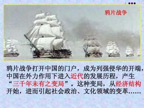 第10课近代中国社会经济结构的变动