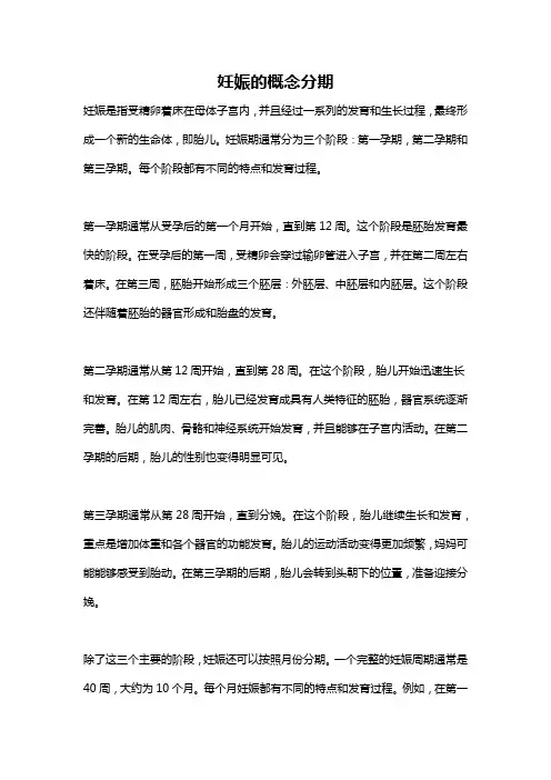 妊娠的概念分期