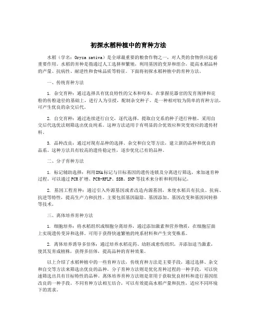 初探水稻种植中的育种方法