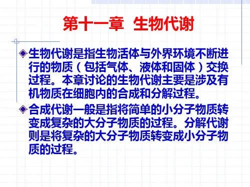 化学生物学 第十一章 生物代谢