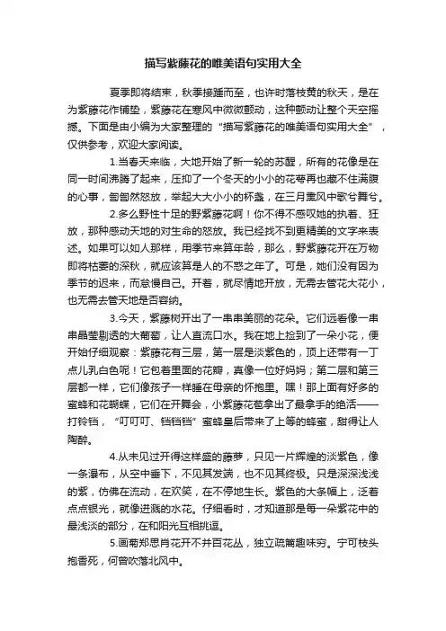 描写紫藤花的唯美语句实用大全