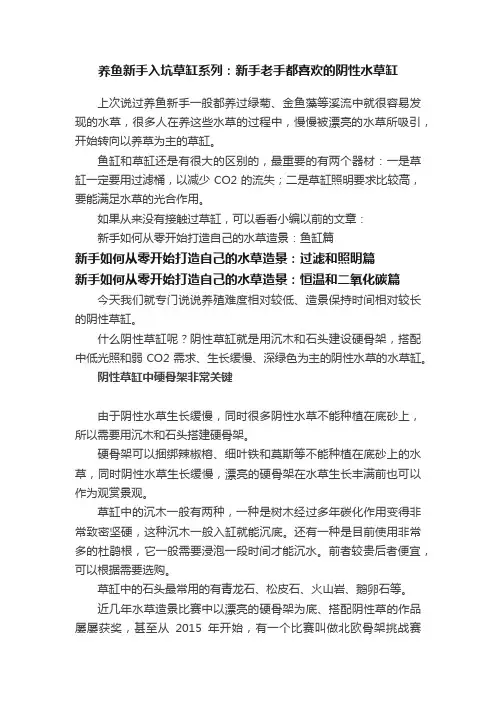 养鱼新手入坑草缸系列：新手老手都喜欢的阴性水草缸