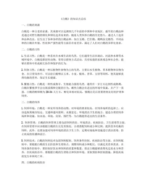 《白鹅》的知识点总结