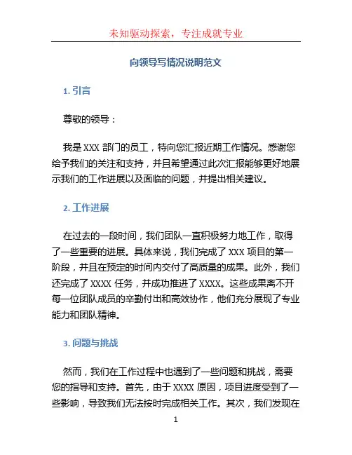 向领导写情况说明范文