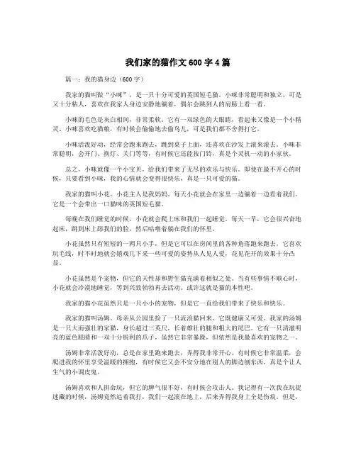 我们家的猫作文600字4篇