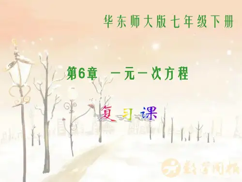 华师大版数学七年级下册第6章《一元一次方程复习》课件
