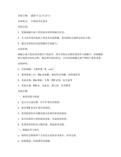 细胞合成工程实验报告