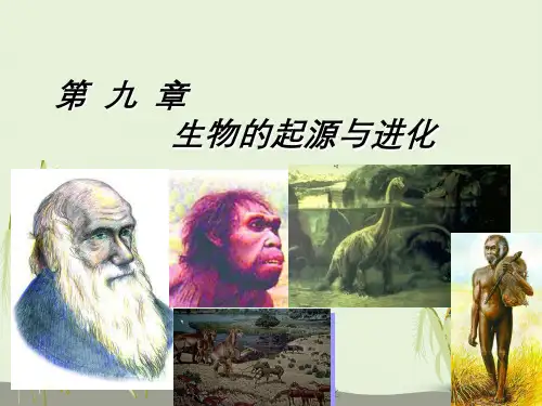 普通生物学：生物起源及进化
