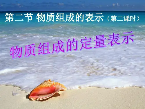物质组成的定量表示PPT课件 鲁科版
