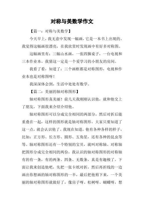 对称与美数学作文