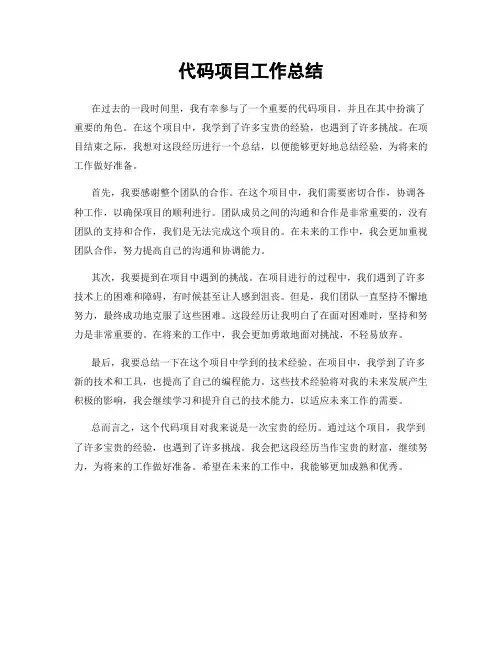 代码项目工作总结